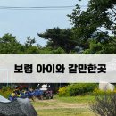 보령 아이와 가볼 만한 곳] 개화예술공원 아기랑 주말 나들이 (바둑이네 동물원, 깡통열차, 족욕카페 후기)