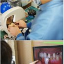 선진치과기공소 네이버블로그