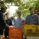 (주)델리 이미지