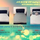 캐슬 세탁 이미지