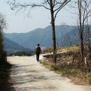 팔공산올레길 6코스 이미지