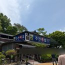 영월 당일치기 여행 코스 🚗 블루리본 맛집 주천묵집 &amp; 단종 유배지 청령포 방문 후기