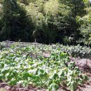 뉴하동공인중개사사무소 이미지