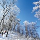 백덕산주유소 이미지