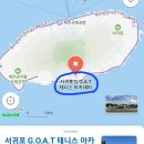 서귀포G.O.A.T테니스아카데미