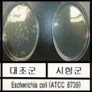 선옥 이미지