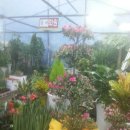 경북농약농자재할인마트 이미지