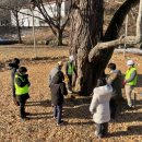 은행청과 이미지