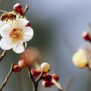 서운근린공원 이미지