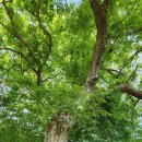 무성서원 이미지