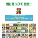 행신늘편한내과의원 네이버블로그