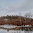 피자대학치킨학과 이미지