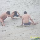 봉평해수욕장 이미지