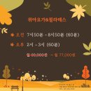 요가(오전) 이미지