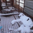 손의개농장 이미지