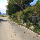 양평한울공인중개사사무소 이미지