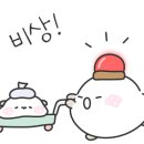 둥지분식