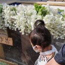 하은이네 농장 이미지