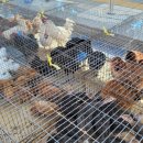 여주성당화장실 이미지