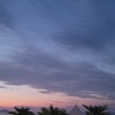 돌고래마루민박펜션 이미지