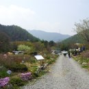 들꽃여울캠핑장 이미지