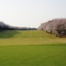 태광교통 이미지