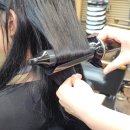 신정애견 이미지