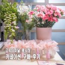 대륜인테리어 | 강남 고속터미널 꽃시장 카네이션 가격 어버이날 꽃꽂이 화병 만들기