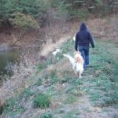 우리들 랜드 이미지