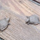 현희 농장 이미지