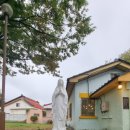 메리놀내과의원 이미지