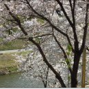 싱싱당구장 이미지