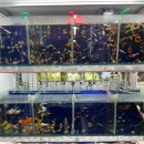 DC 생활용품할인점 이미지