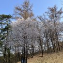 상록골프장 이미지