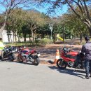 부안할매피순대 이미지