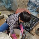 혜리농장 이미지