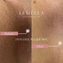 웰로우브로우