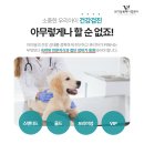 아너스메디컬 이미지