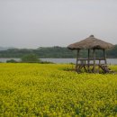 바닷가엄마집 이미지