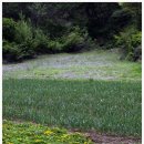 강촌농장 이미지