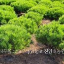 송사농장 이미지