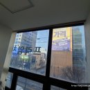 서울파스텔치과의원 네이버블로그