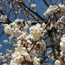 노인스포츠지도사 자격증반 이미지