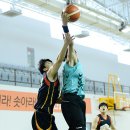 리바운드 이미지