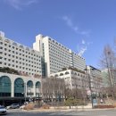 30대 유방암 진단 기록 #1 유방암 검사부터 수술 전까지