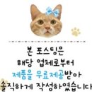 느끼함 싹 잡는 고깃집 파채 만들기, 우리식품 파채참소스 리얼 후기