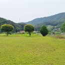 어유소 장군 사당 이미지