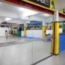 화랑태권도 이미지