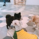 오해피데이유치원