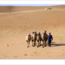 바단지린 사막을 가다 (3) 이미지